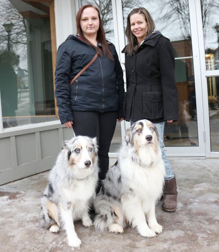 ANDREW PHILIPS/Special to the Packet & Times Amanda Mack, left, and Lindy Scully hope to reopen a pet store in the city's downtown core. The pair, who previously worked at J&K Pets, say people often recognize the now-closed store's familiar Australian shepherd greeters, Sookie, 7, and her niece, River, 4.