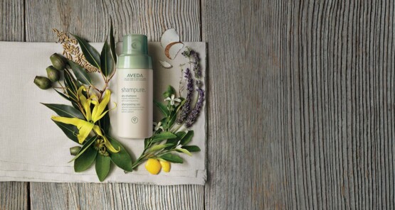 8f16fb4dad4095a7352b63bcf49736e1