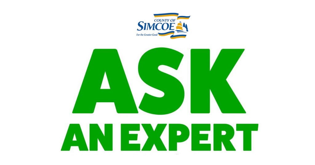Ask an Expert 1024x538 - Ask an Expert Series