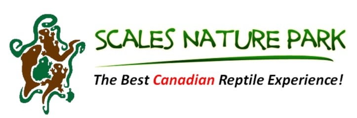 Scales logo - Pathways to Employment: Scales Nature Park