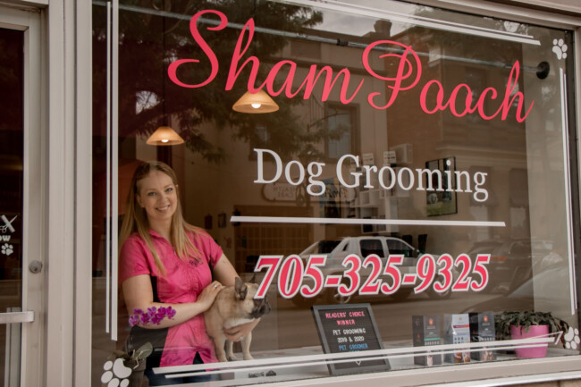 ShamPooch Dog Grooming triped its business within six months of moving to their Downtown Orillia location