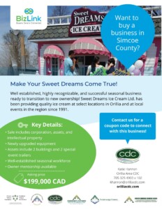 Businesses For Sale Single Image Layout 2 232x300 - Businesses For Sale